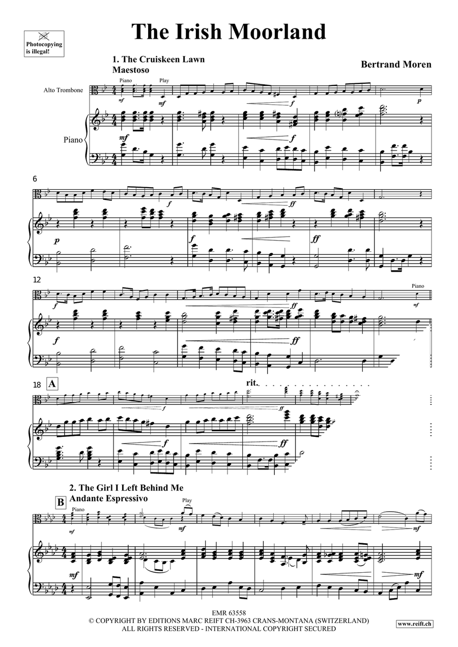 The Irish Moorland The Irish Moorland Piano Accompaniment scores gallery preview page 4