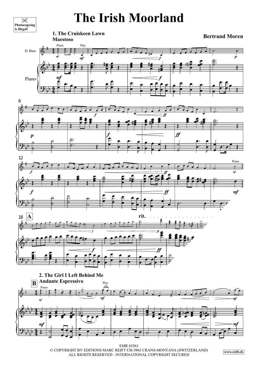 The Irish Moorland The Irish Moorland Voice Solo scores gallery preview page 4