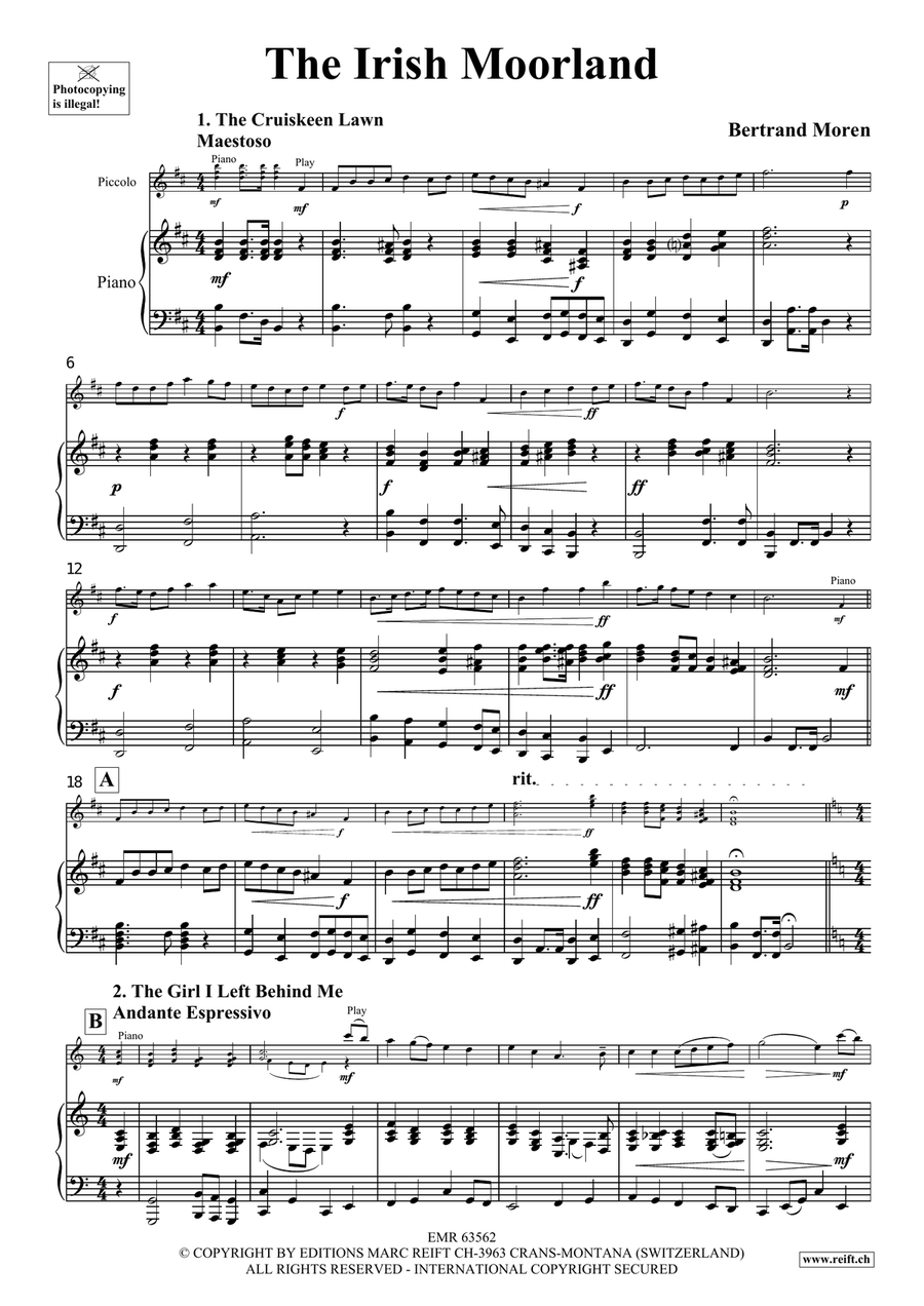 The Irish Moorland The Irish Moorland Piccolo scores gallery preview page 4
