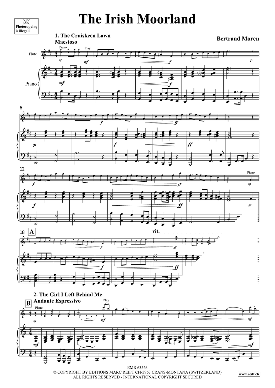 The Irish Moorland The Irish Moorland Flute Solo scores gallery preview page 4