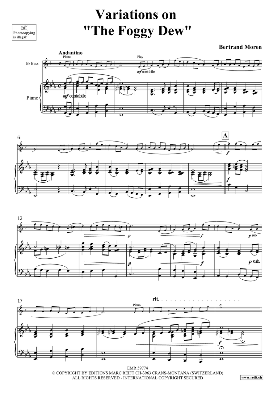 Variations on The Foggy Dew Voice Solo scores gallery preview page 5
