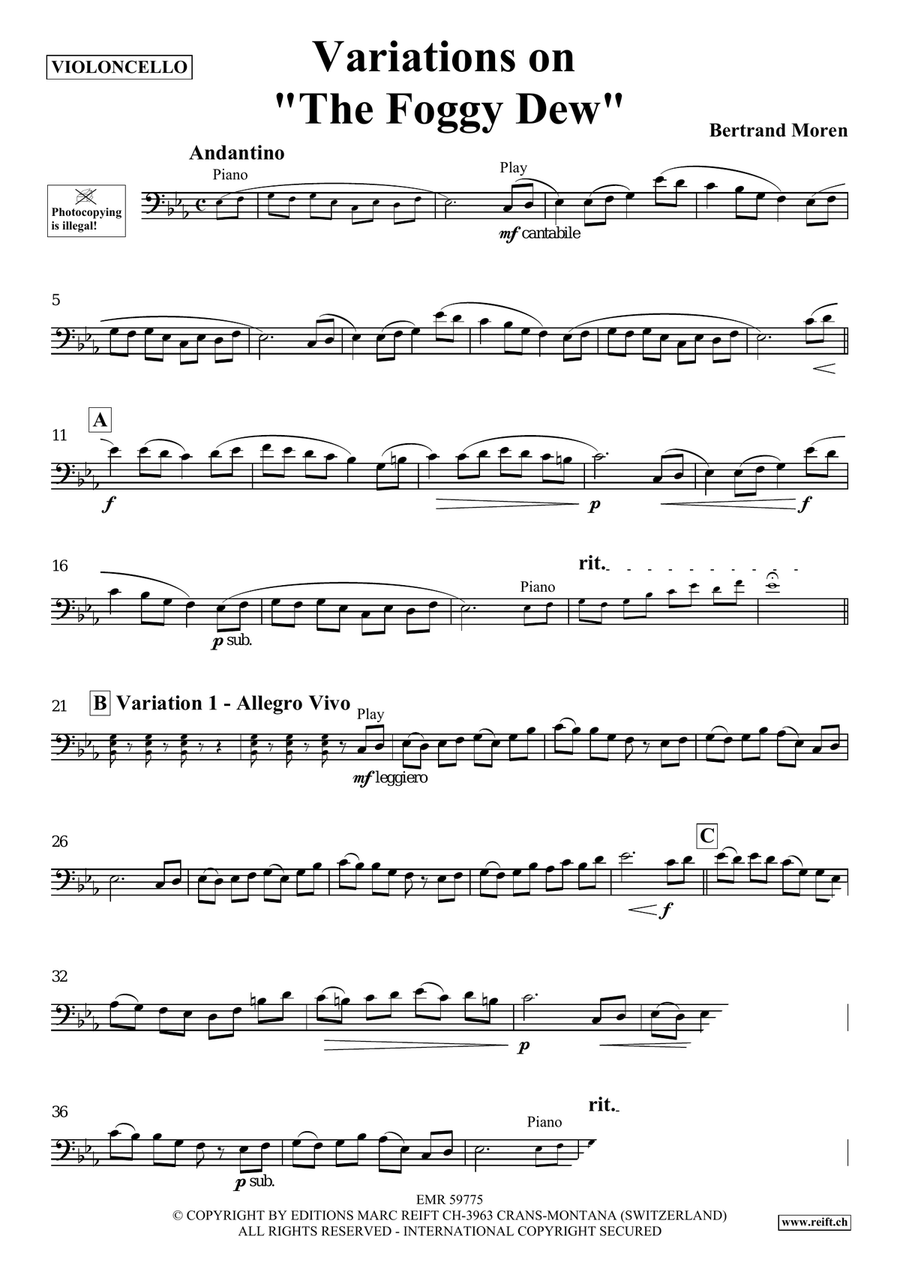 Variations on The Foggy Dew Piano Accompaniment scores gallery preview page 4