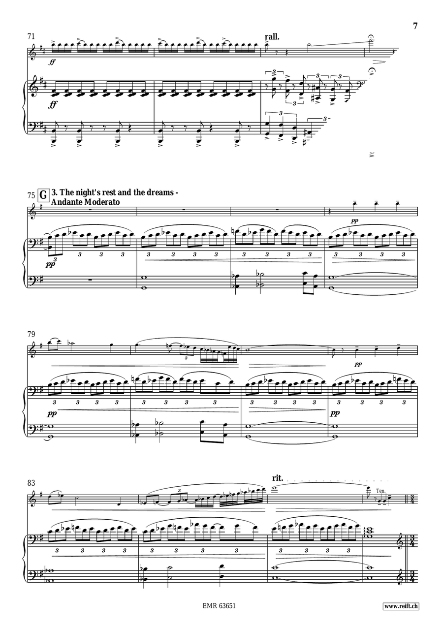 The Night Of All Mysteries Flute Solo scores gallery preview page 9