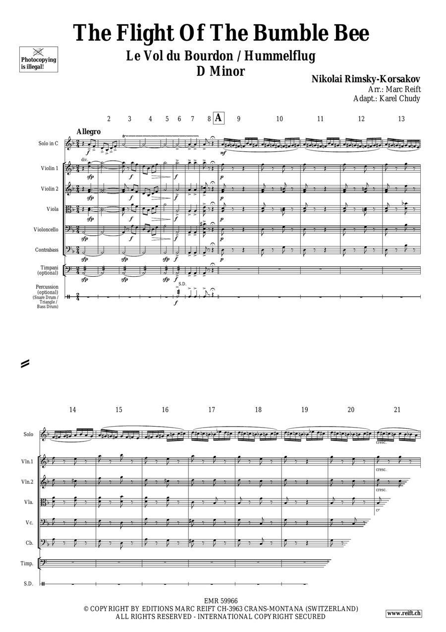 The Flight Of The Bumble Bee String Orchestra scores gallery preview page 3
