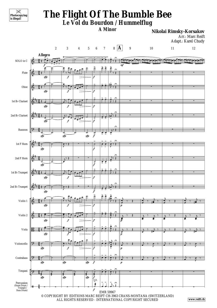 The Flight Of The Bumble Bee Orchestra scores gallery preview page 3