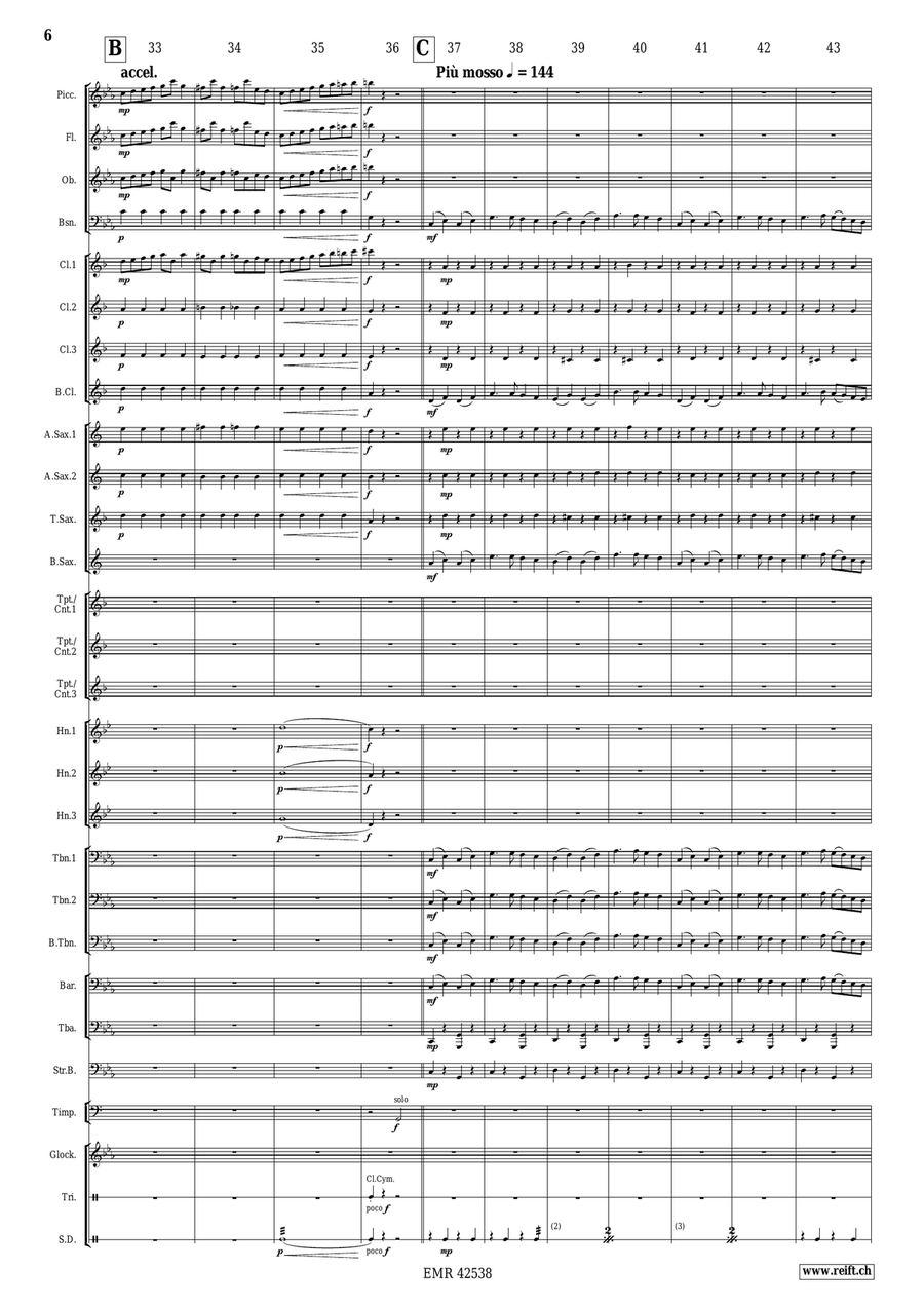 Hej Sokoly Hej Sokoly Concert Band scores gallery preview page 7