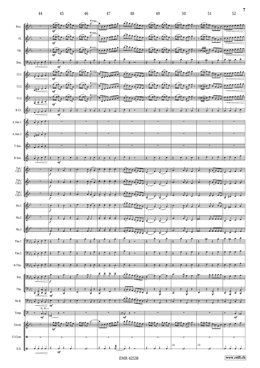 Hej Sokoly Hej Sokoly Concert Band scores gallery preview page 8
