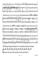 Grigri Bassoon Solo scores gallery preview page 6
