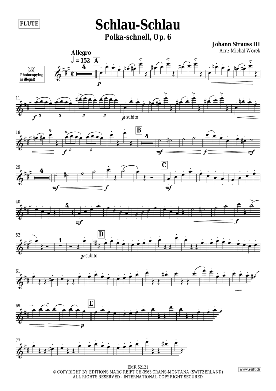 Schlau-Schlau Schlau-Schlau Flute Solo scores gallery preview page 3
