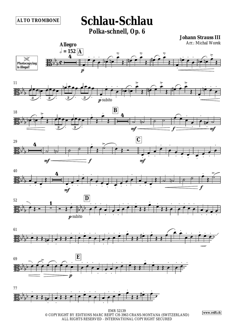 Schlau-Schlau Schlau-Schlau Piano Accompaniment scores gallery preview page 3