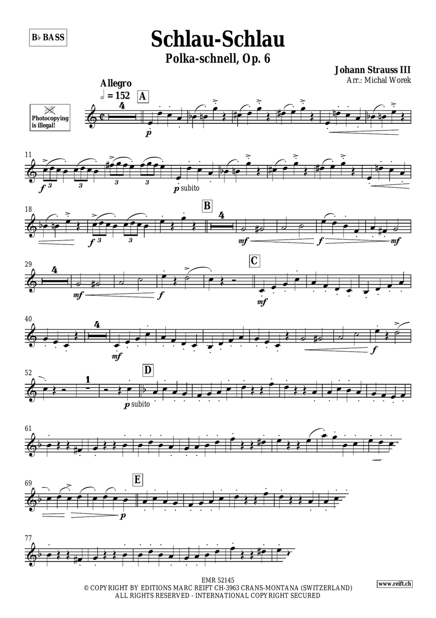Schlau-Schlau Schlau-Schlau Voice Solo scores gallery preview page 3