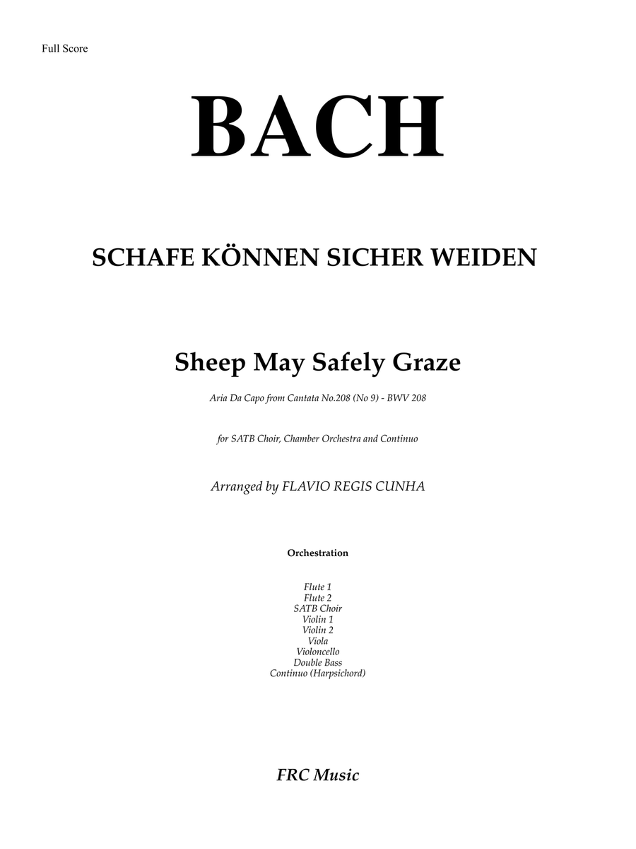 Sheep May Safely Graze (Aria Da Capo from Cantata No.208 (No 9) - BWV 208 for Choir and Orchestra Chamber Orchestra scores gallery preview page 2