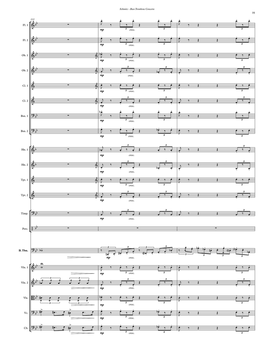 Bass Trombone Concerto (with Orchestra) Orchestra scores gallery preview page 7