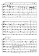 CIOCÂRLIA (The Skylark) (Violin with string orchestra) String Orchestra scores gallery preview page 5