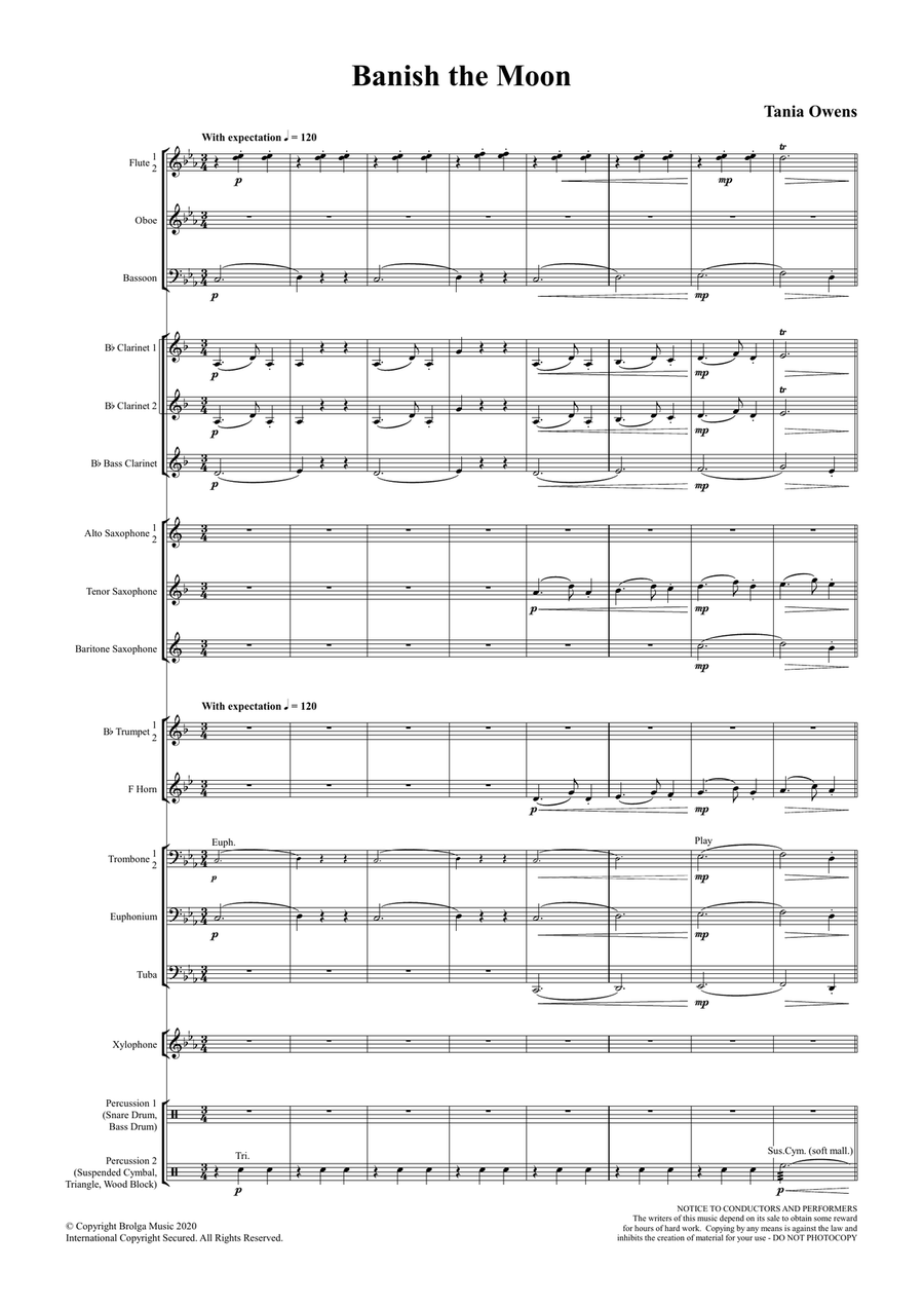 Banish the Moon Banish the Moon Concert Band scores gallery preview page 2