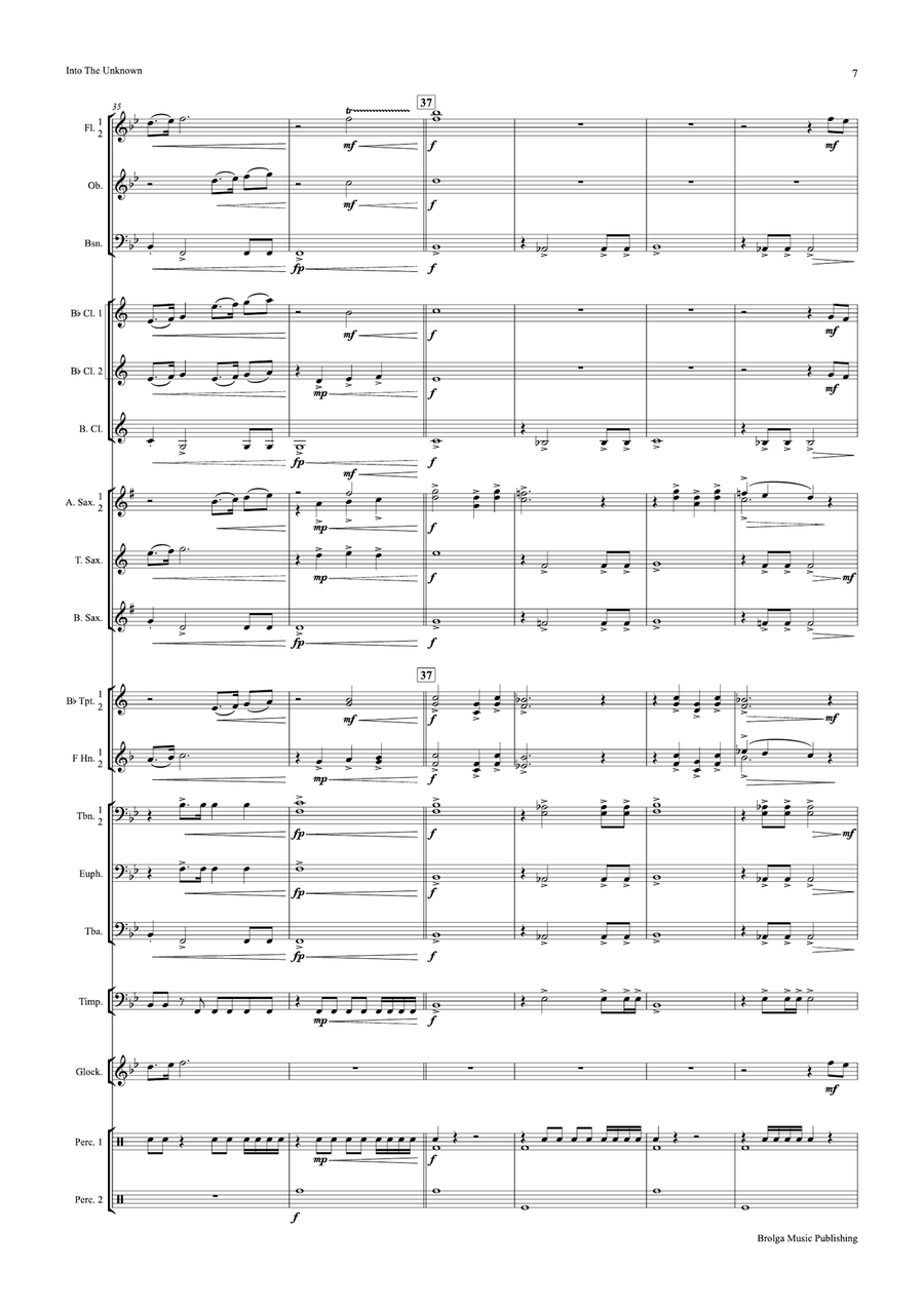 Into the Unknown (score only) Concert Band scores gallery preview page 8