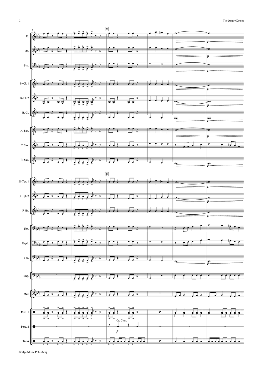 The Jungle Drums The Jungle Drums Concert Band scores gallery preview page 3
