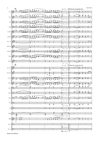 Lake Craigie (score only) Concert Band scores gallery preview page 5