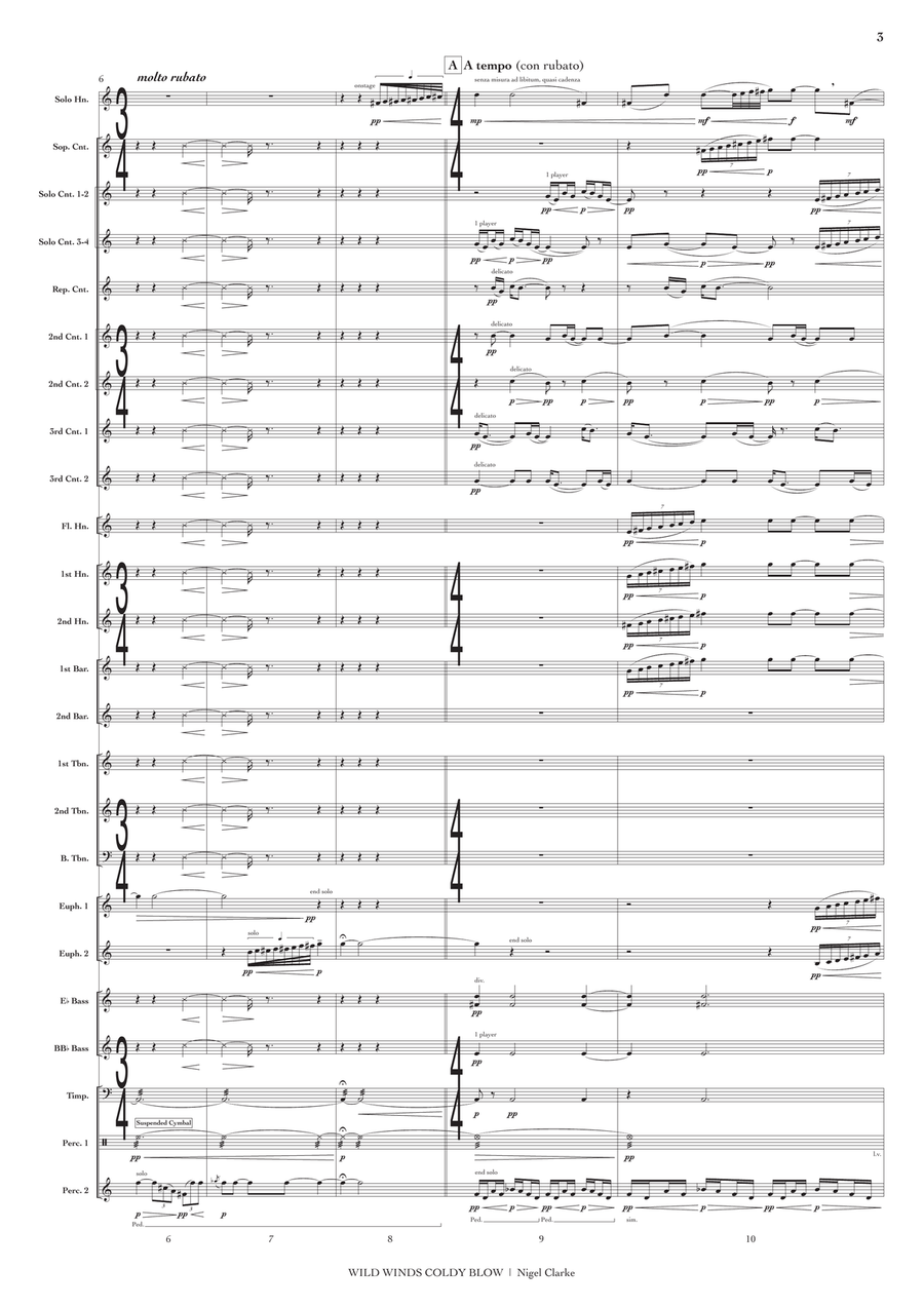 Wild Winds Coldly Blow (conductor's score) Brass Band scores gallery preview page 4