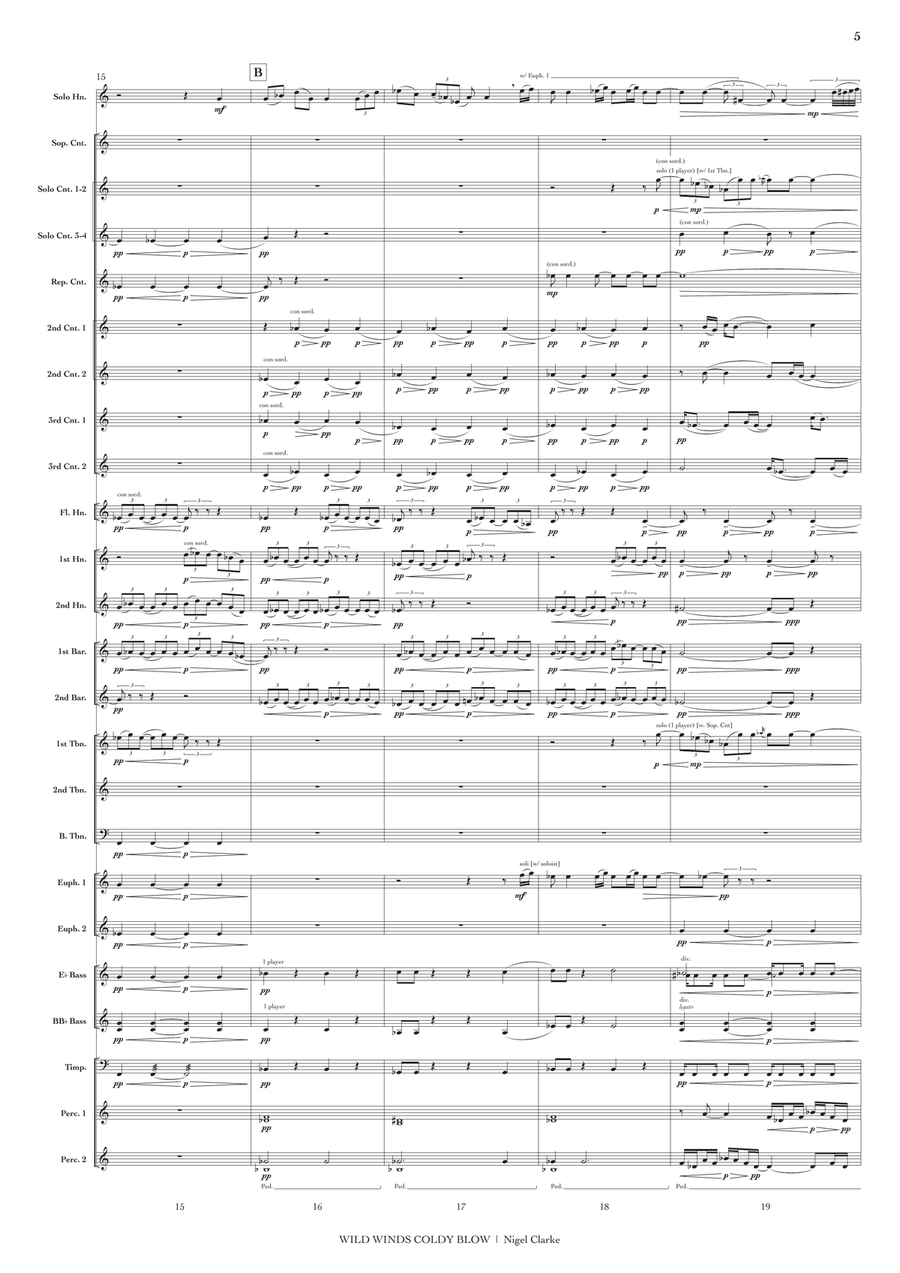 Wild Winds Coldly Blow (conductor's score) Brass Band scores gallery preview page 6