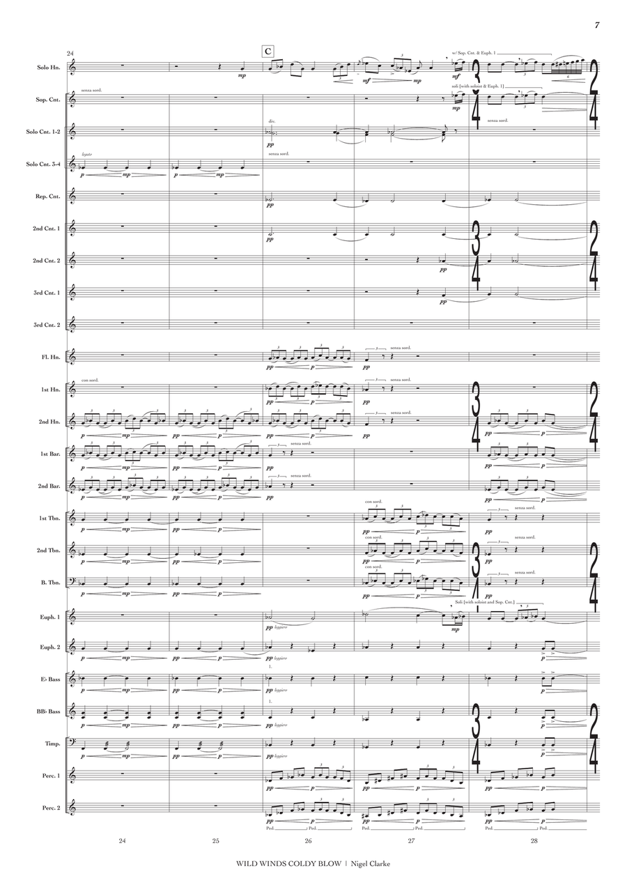 Wild Winds Coldly Blow (conductor's score) Brass Band scores gallery preview page 8
