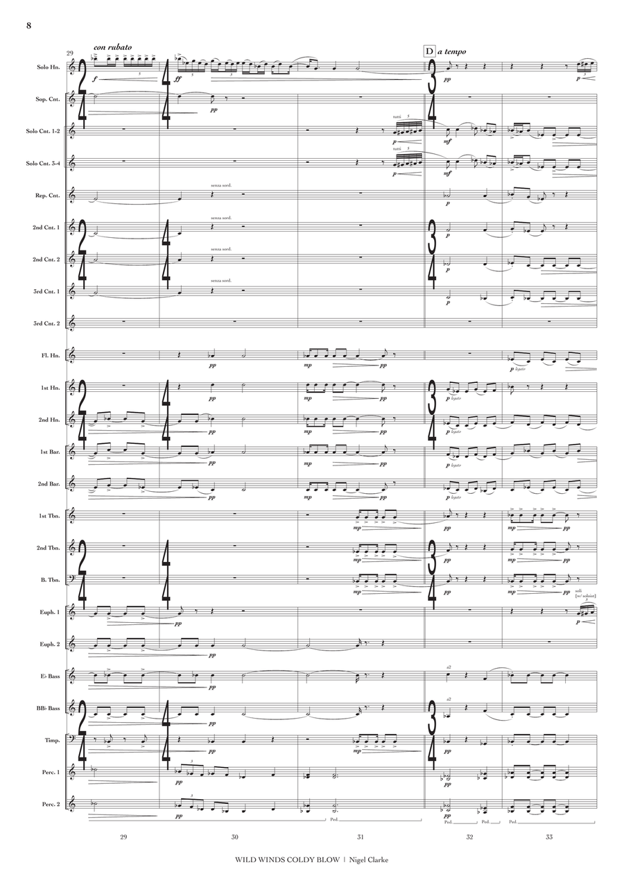 Wild Winds Coldly Blow (conductor's score) Brass Band scores gallery preview page 9