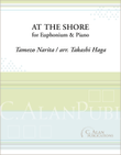 At the Shore (Narita)