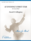 At Evening's First Star
