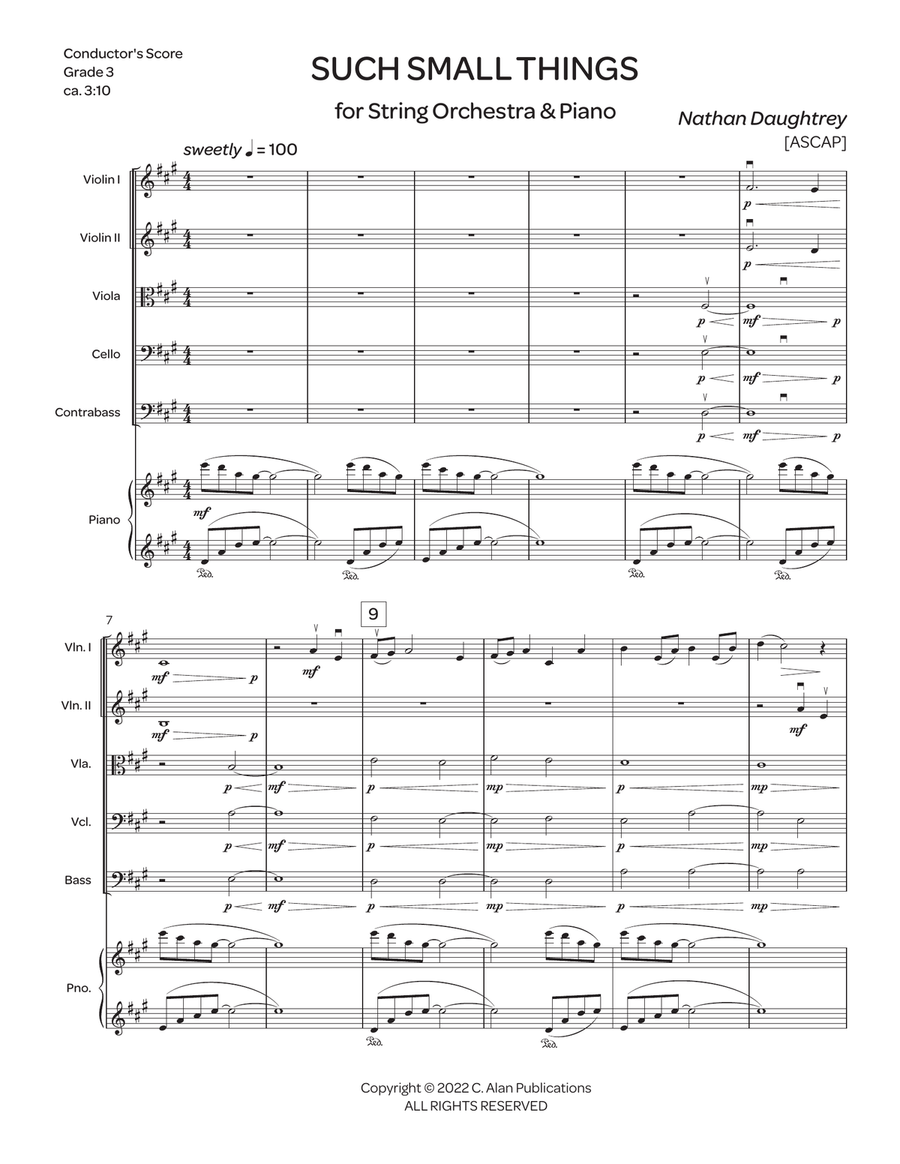 Such Small Things (string orchestra score) String Orchestra scores gallery preview page 2