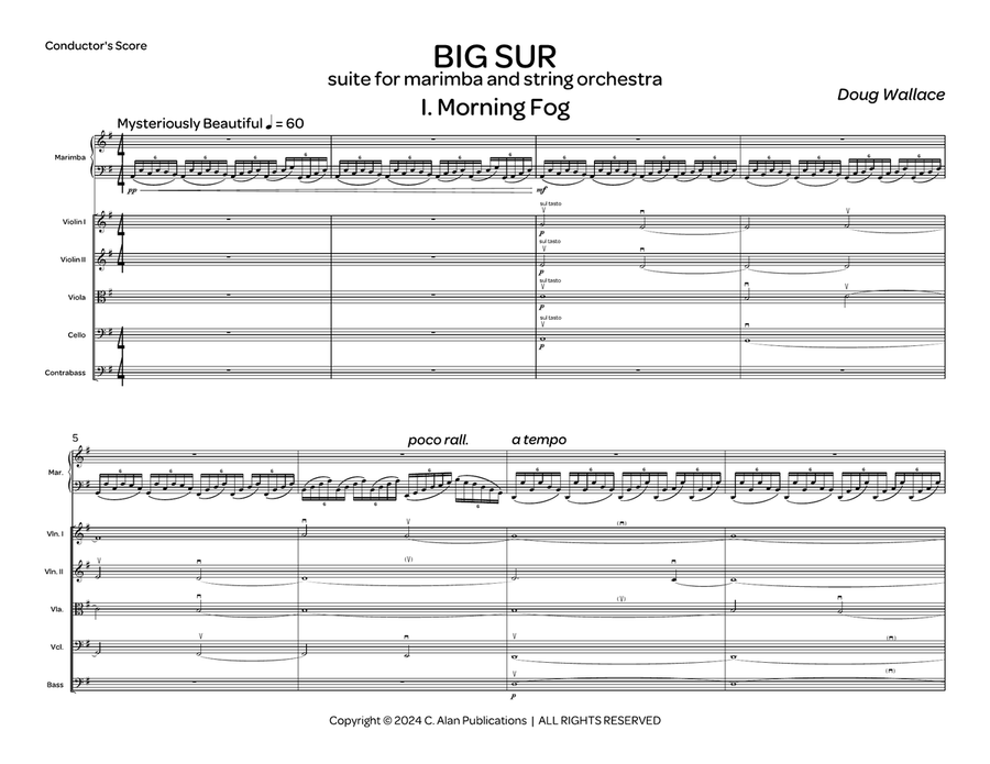 Big Sur (score only) String Orchestra scores gallery preview page 2