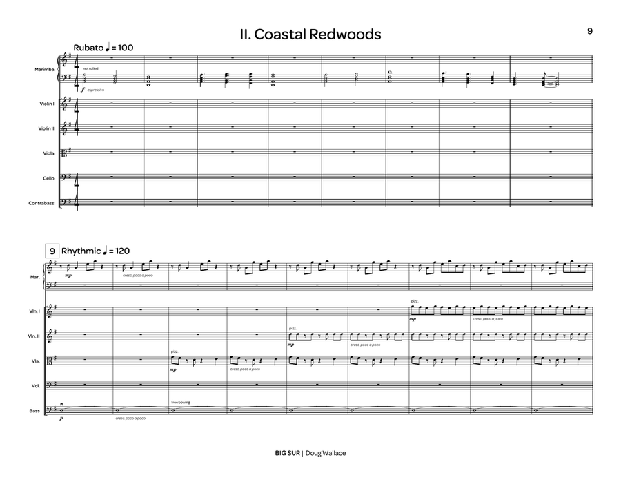 Big Sur (score only) String Orchestra scores gallery preview page 6