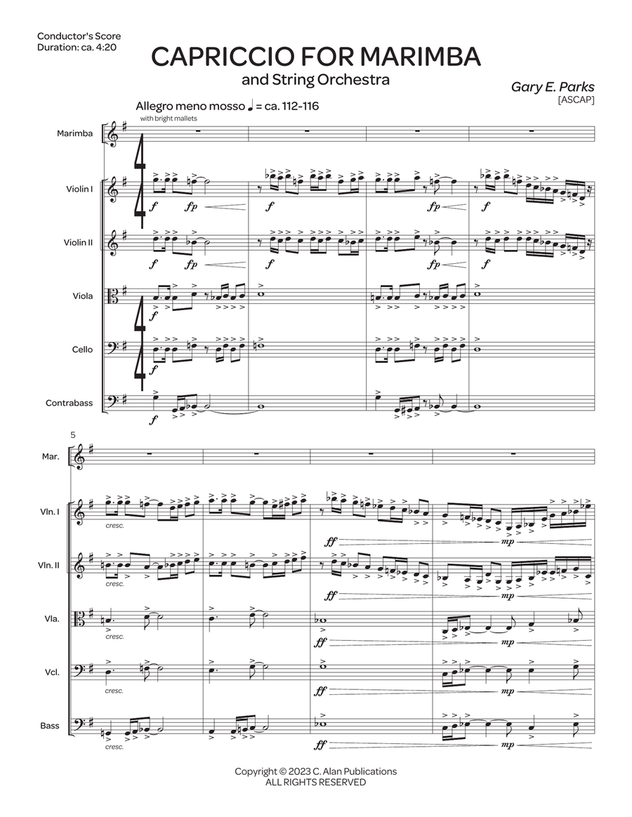 Capriccio for Marimba & String Orchestra String Orchestra scores gallery preview page 2