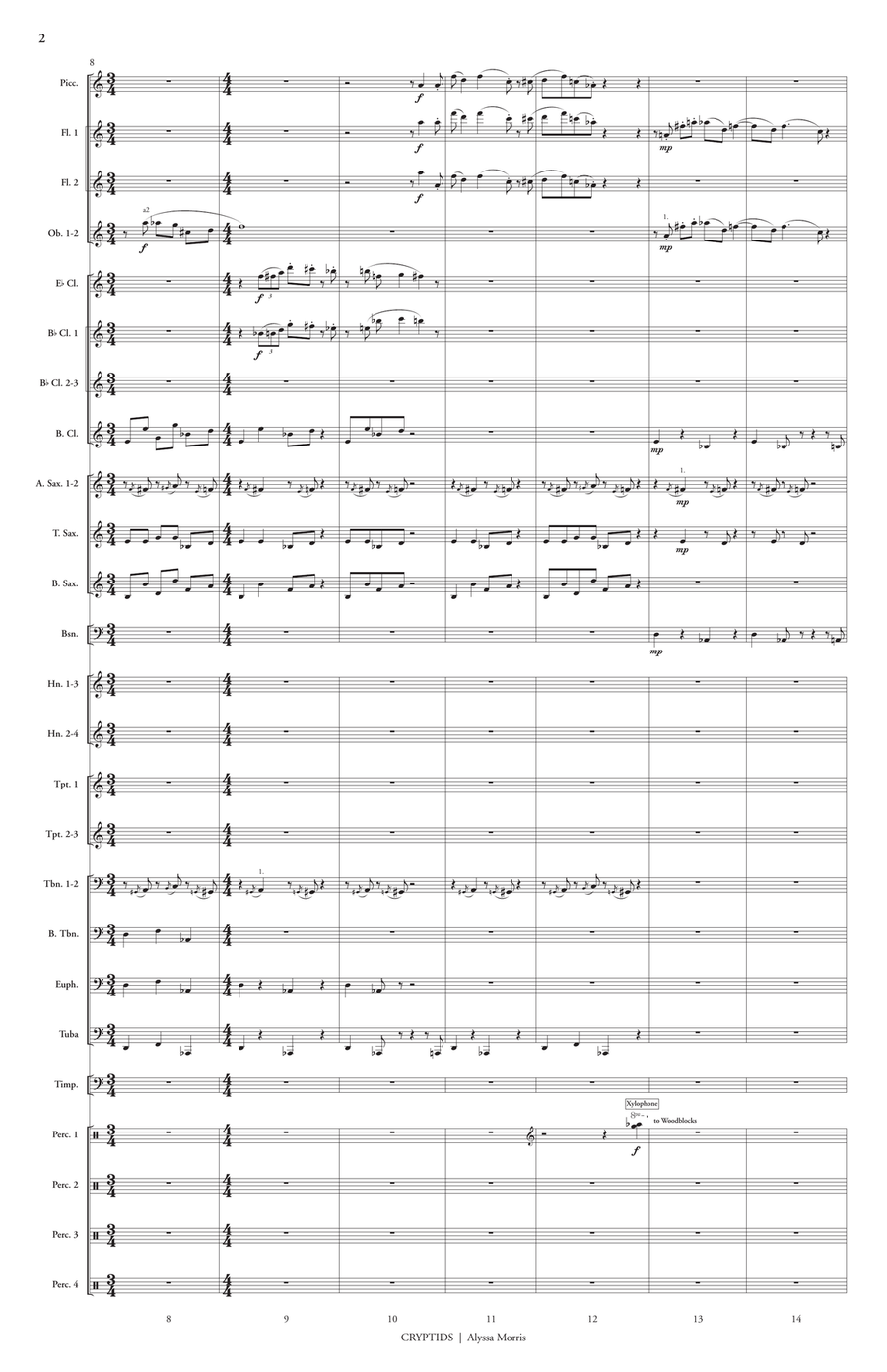 Cryptids Concert Band - Sheet Music page 3