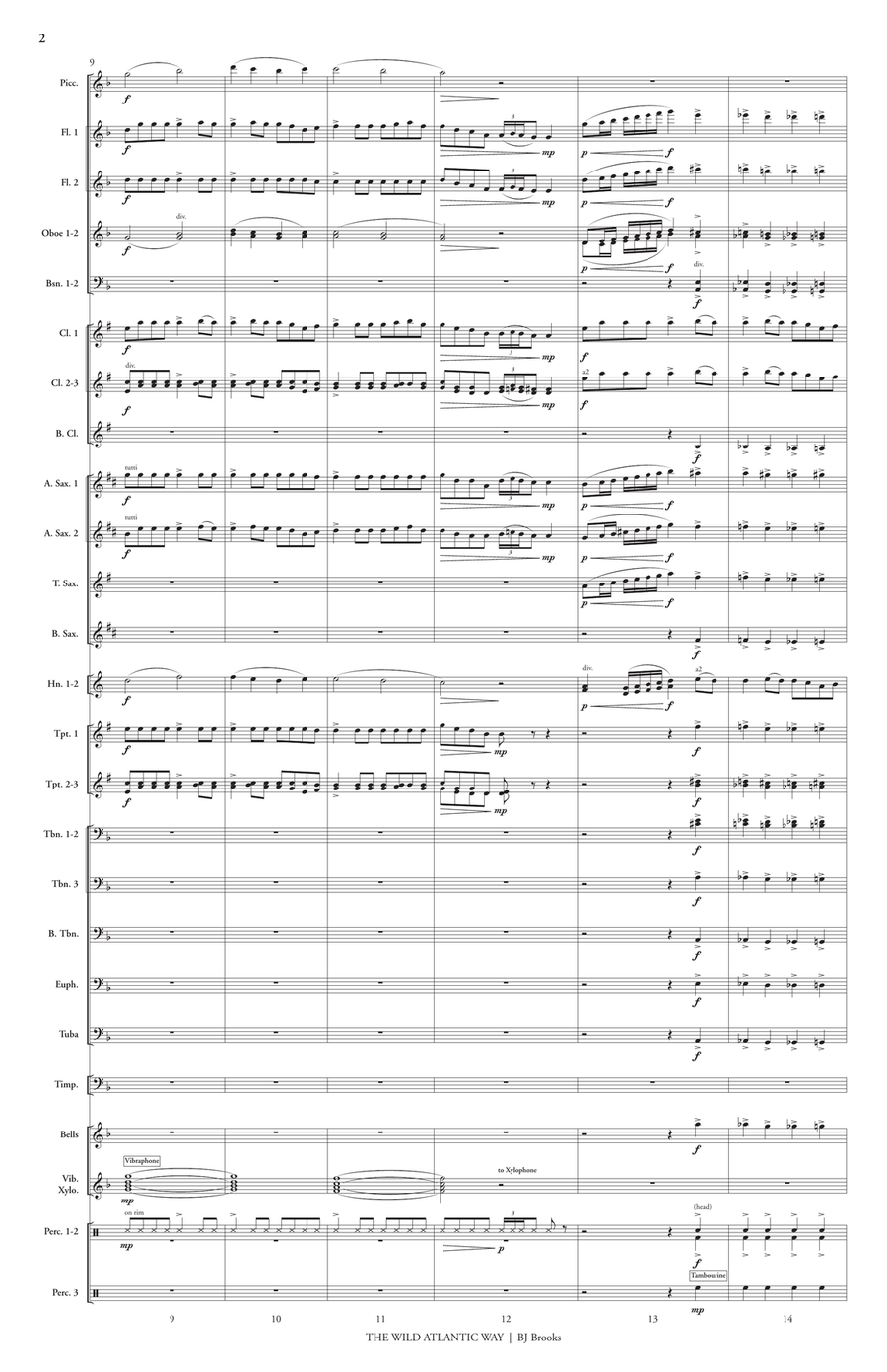 The Wild Atlantic Way (score only) Concert Band scores gallery preview page 3