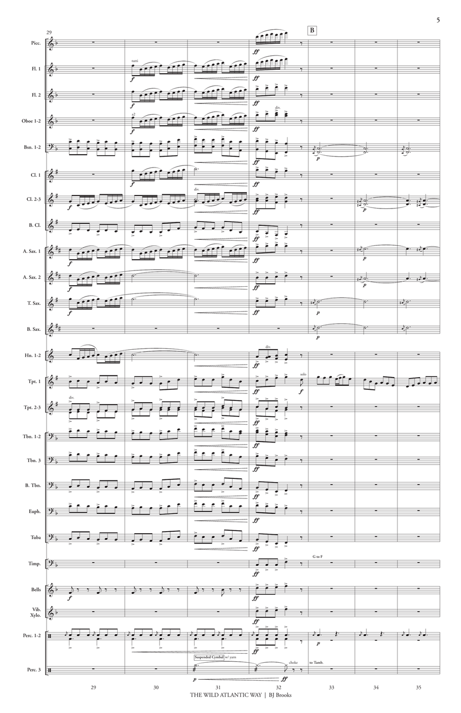 The Wild Atlantic Way (score only) Concert Band scores gallery preview page 6