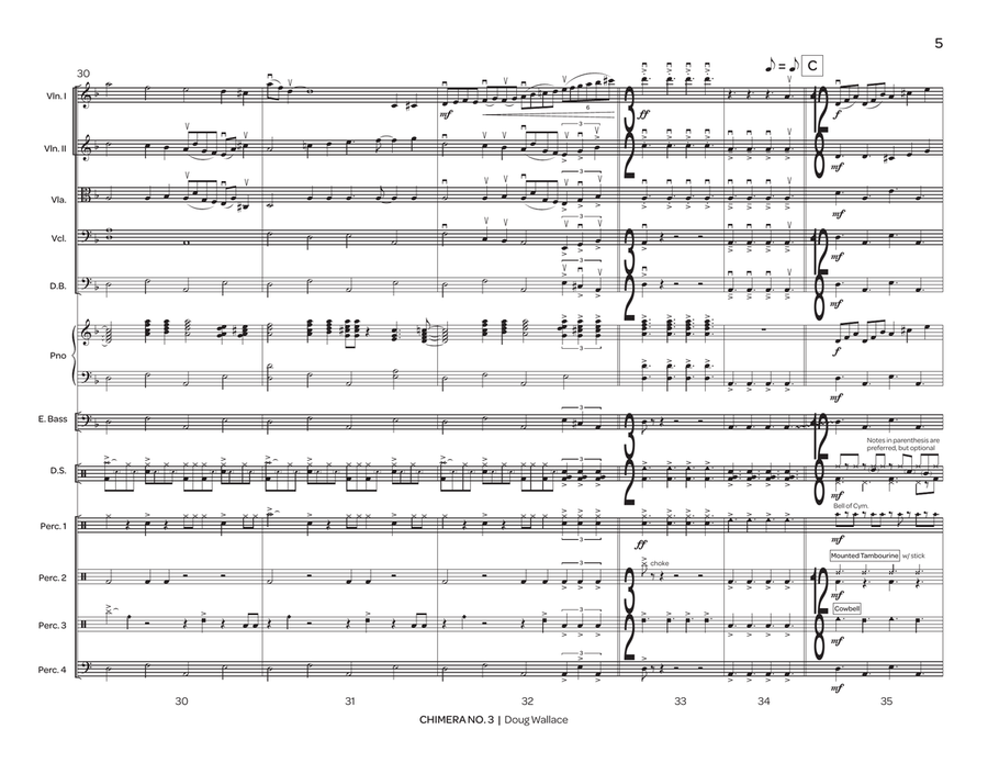 Chimera No. 3 (score only) String Orchestra scores gallery preview page 8