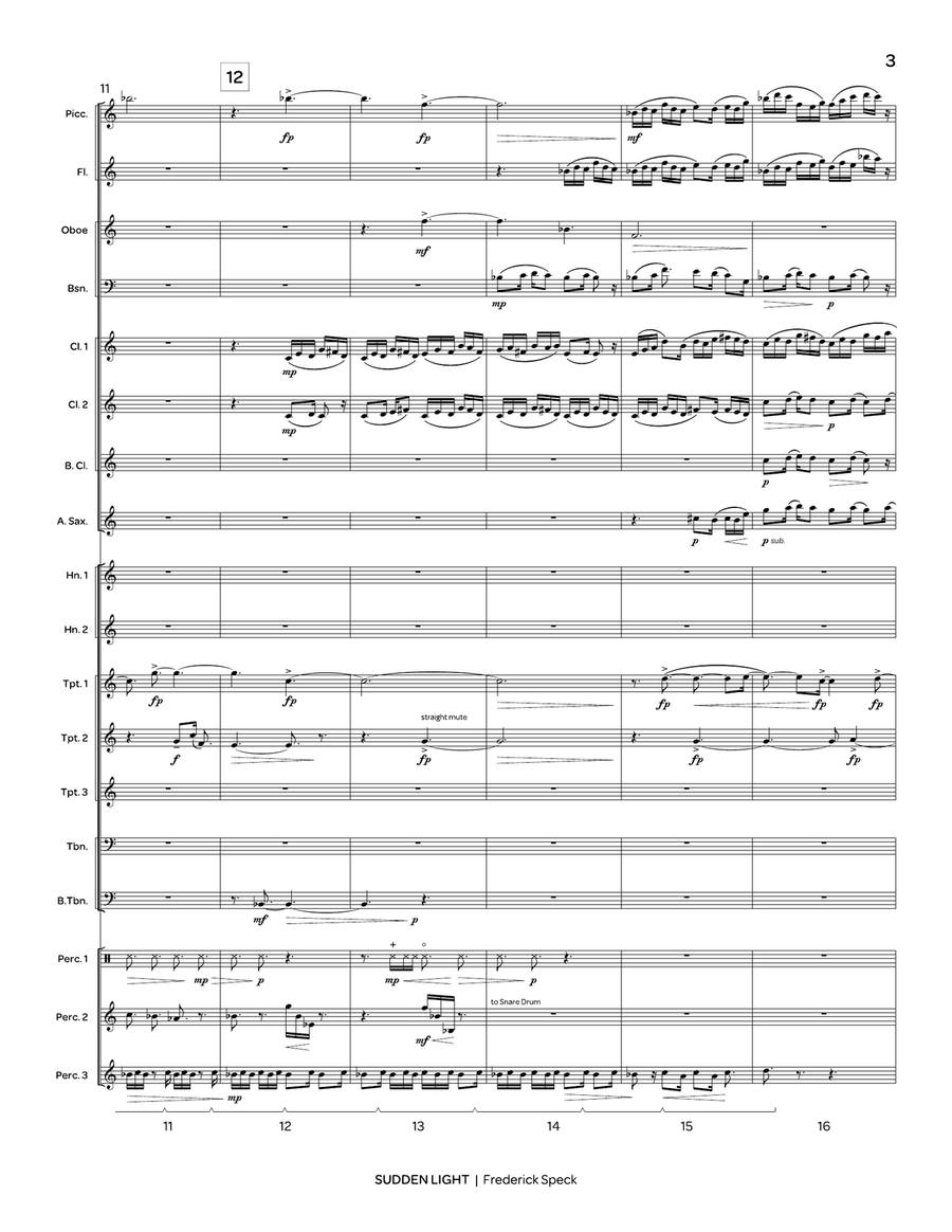 Sudden Light Sudden Light Concert Band scores gallery preview page 4