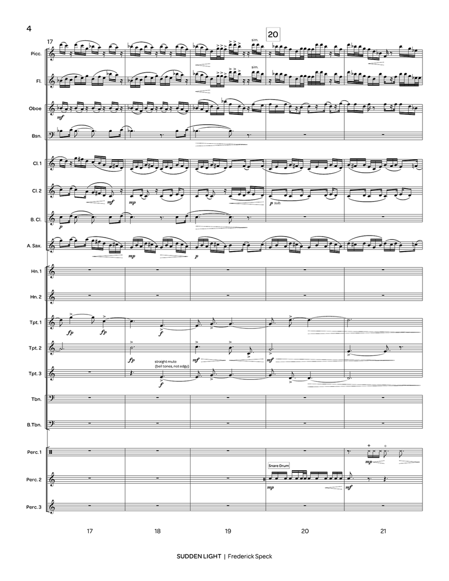 Sudden Light Sudden Light Concert Band scores gallery preview page 5