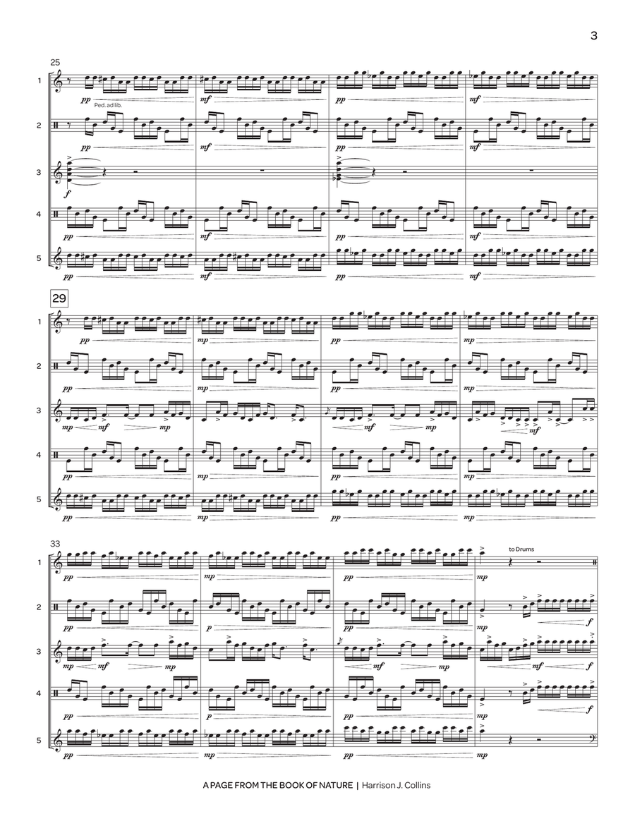 Page from the Book of Nature, A Percussion Ensemble scores gallery preview page 5