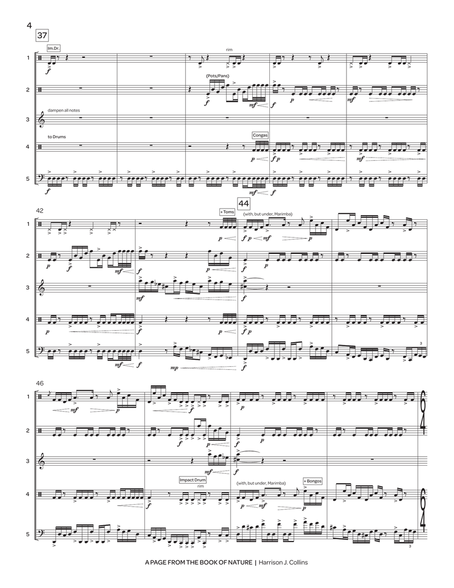 Page from the Book of Nature, A Percussion Ensemble scores gallery preview page 6