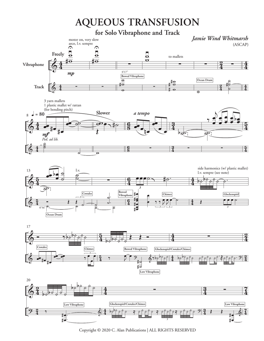 Aqueous Transfusion Aqueous Transfusion Percussion scores gallery preview page 2