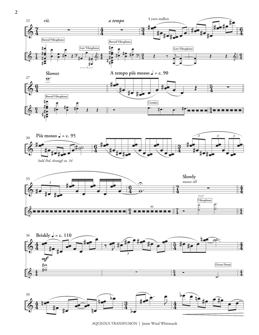 Aqueous Transfusion Aqueous Transfusion Percussion scores gallery preview page 3