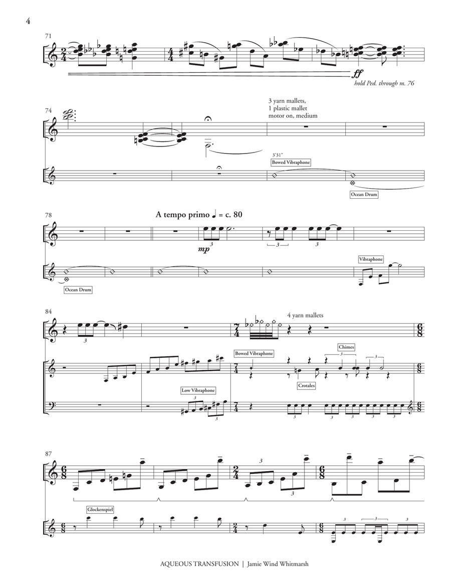 Aqueous Transfusion Aqueous Transfusion Percussion scores gallery preview page 5