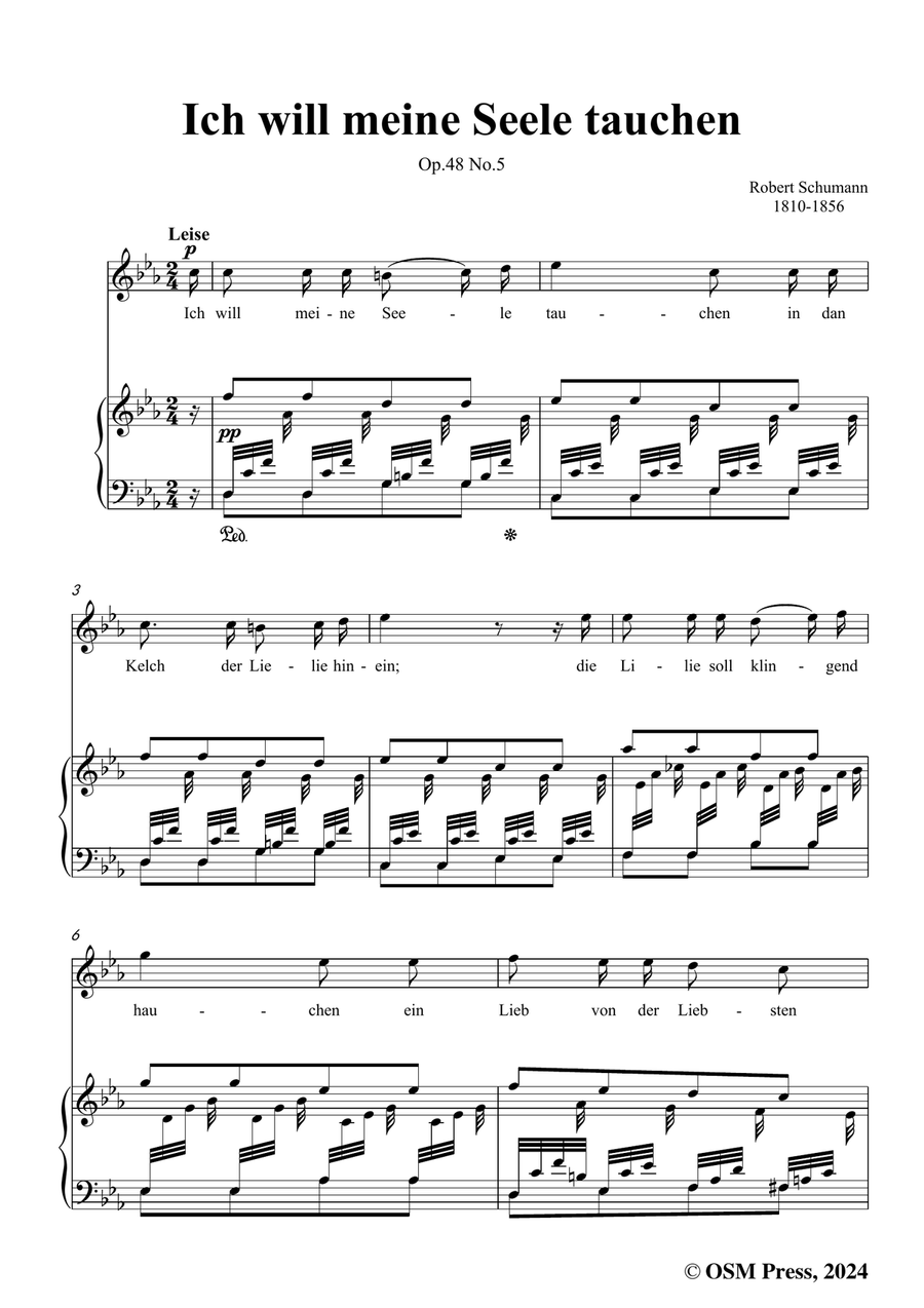 R. Schumann-Ich will meine Seele tauchen,in c minor Piano, Vocal scores gallery preview page 3