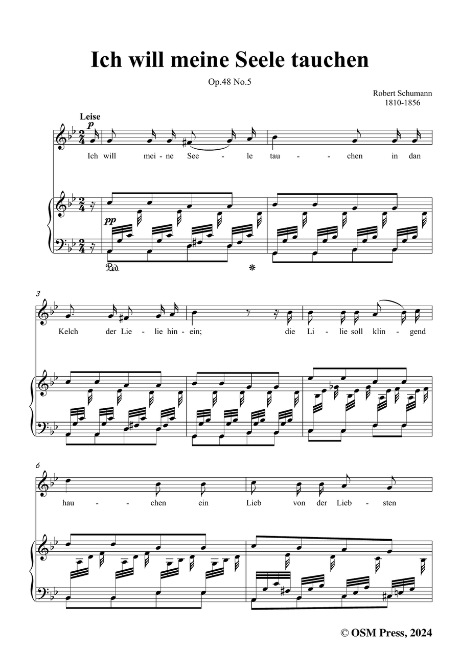 R. Schumann-Ich will meine Seele tauchen,in g minor Piano, Vocal scores gallery preview page 3