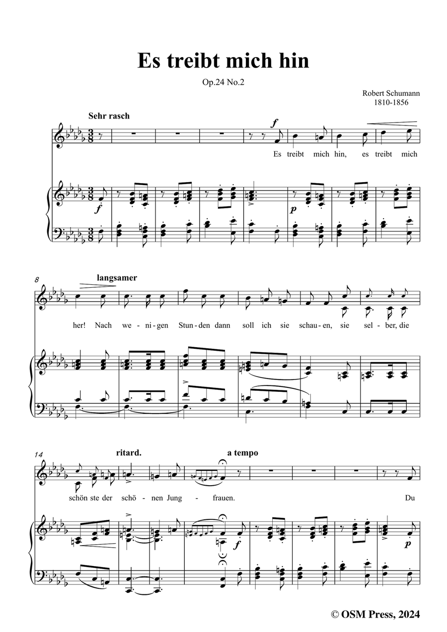 R. Schumann-Es treibt mich hin,in b flat minor Piano, Vocal scores gallery preview page 3