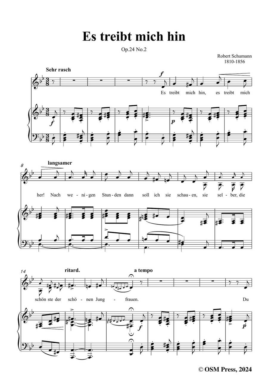 R. Schumann-Es treibt mich hin,in g minor Piano, Vocal scores gallery preview page 3