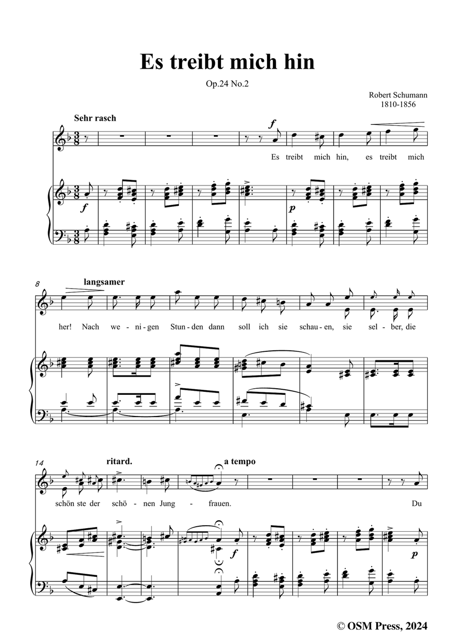 R. Schumann-Es treibt mich hin,in d minor Piano, Vocal scores gallery preview page 3
