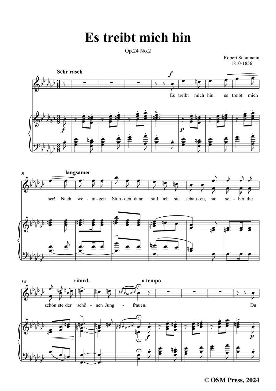R. Schumann-Es treibt mich hin,in e flat minor Piano, Vocal scores gallery preview page 3