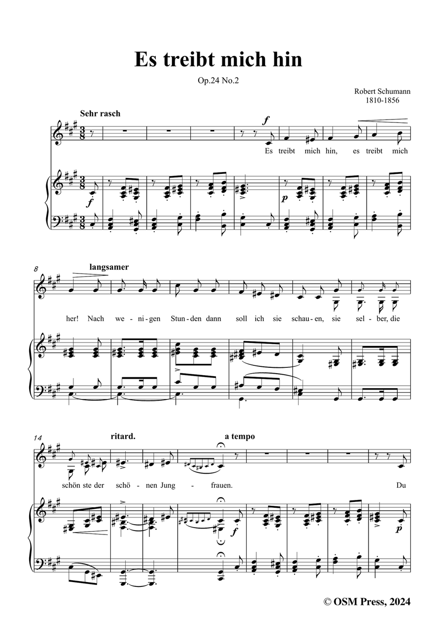 R. Schumann-Es treibt mich hin,in f sharp minor Piano, Vocal scores gallery preview page 3